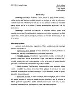 Konspekts 'Birokrātija', 1.