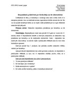 Konspekts 'Birokrātija', 3.