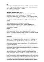 Referāts 'Islande', 2.