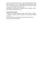 Referāts 'Islande', 3.