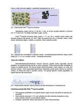 Referāts 'Nanotehnoloģijas un stomatoloģija', 4.