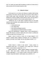 Referāts 'Jaunietis no daudzbērnu ģimenes', 7.