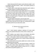 Referāts 'Jaunietis no daudzbērnu ģimenes', 10.