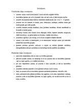 Referāts 'Jaunietis no daudzbērnu ģimenes', 30.