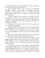 Konspekts 'Kultūras lomas palielināšana bērnu attīstības pilnveidošanā', 3.