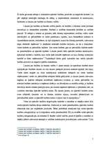 Eseja 'Speciālo budžetu plusi un mīnusi', 2.