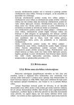 Referāts 'Muitas kontroles zonas Latvijā', 9.