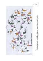 Referāts 'Muitas kontroles zonas Latvijā', 23.