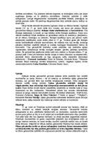 Referāts 'Baroka glezniecības vispārīgs raksturojums un P.P.Rubenss', 2.