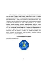 Referāts 'Kvalitātes politika SIA "Grifs AG"', 13.