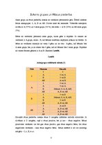 Referāts 'Asinsdonoru kustība Rundāles novadā', 6.