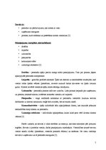 Referāts 'Pakalpojumu kvalitāte', 5.