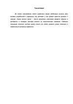 Referāts 'Поведение потребителей', 13.