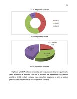 Referāts 'Motivācijas sistēmu pilnveidošana telekomunikāciju uzņēmumā', 28.