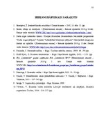 Referāts 'Motivācijas sistēmu pilnveidošana telekomunikāciju uzņēmumā', 33.