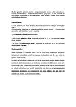 Konspekts 'Norēķini par darba algu', 7.