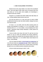 Referāts 'Māstrihtas kritēriji', 9.