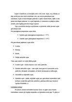 Konspekts 'Zupas', 2.