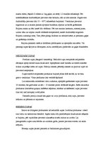 Konspekts 'Zupas', 3.