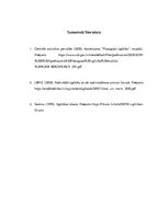 Eseja 'Formālās un neformālās izglītības iespējas', 4.