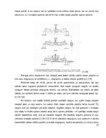 Referāts 'Dzelzbetons un tā izmantošana būvniecībā', 19.