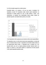 Diplomdarbs 'Sociālpedagoģiskais darbs mācību disciplīnas veicināšanā pusaudžiem', 39.
