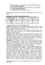 Referāts 'Gaļa un gaļas ķīmiskais sastāvs', 3.