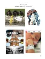 Referāts 'Sociālā reklāma Latvijā', 40.