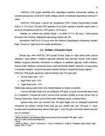 Referāts 'Vērtspapīru tirgus Latvijā un pasaulē', 18.