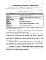 Referāts 'Vērtspapīru tirgus Latvijā un pasaulē', 28.