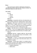 Konspekts 'Auss uzbūve, infraskaņa, ultraskaņa', 2.