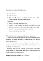 Prezentācija 'Bērna runas/valodas izpēte pirmsskolas vecumā', 5.