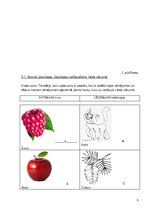 Prezentācija 'Bērna runas/valodas izpēte pirmsskolas vecumā', 9.