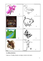 Prezentācija 'Bērna runas/valodas izpēte pirmsskolas vecumā', 11.