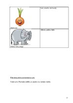 Prezentācija 'Bērna runas/valodas izpēte pirmsskolas vecumā', 21.