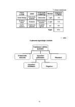 Biznesa plāns 'Apsardzes firma SIA "Mūris"', 15.