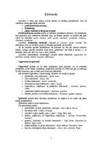 Konspekts 'Lietvārds', 1.