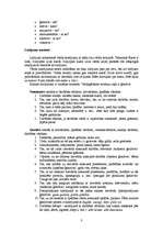 Konspekts 'Lietvārds', 3.