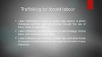 Prezentācija 'Human Trafficking', 6.