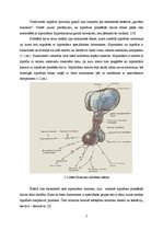 Referāts 'Hipofīzes hormoni. Hipofīzes vadošā loma endokrīnajā sistēmā (augšanas hormoni)', 3.