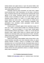 Referāts 'Hipofīzes hormoni. Hipofīzes vadošā loma endokrīnajā sistēmā (augšanas hormoni)', 6.