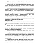 Referāts 'Mācību procesa organizācija', 2.