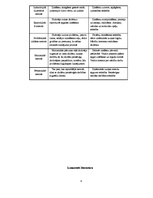 Referāts 'Mācību procesa organizācija', 4.