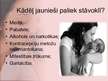 Prezentācija 'Jauniešu problēma - grūtniecība', 4.