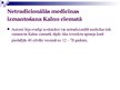 Prezentācija 'Netradicionālās medicīnas izmantošana Kalnu ciematā', 20.