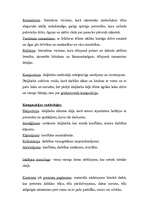 Konspekts 'Literatūras veidi', 2.