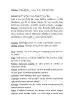 Konspekts 'Literatūras veidi', 3.