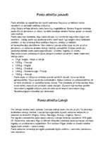 Referāts 'Pasta vēsture', 3.