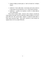 Prakses atskaite 'Finanšu  vadības prakses atskaite', 4.