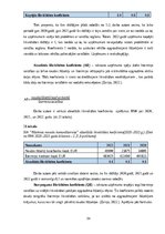 Prakses atskaite 'Finanšu  vadības prakses atskaite', 34.